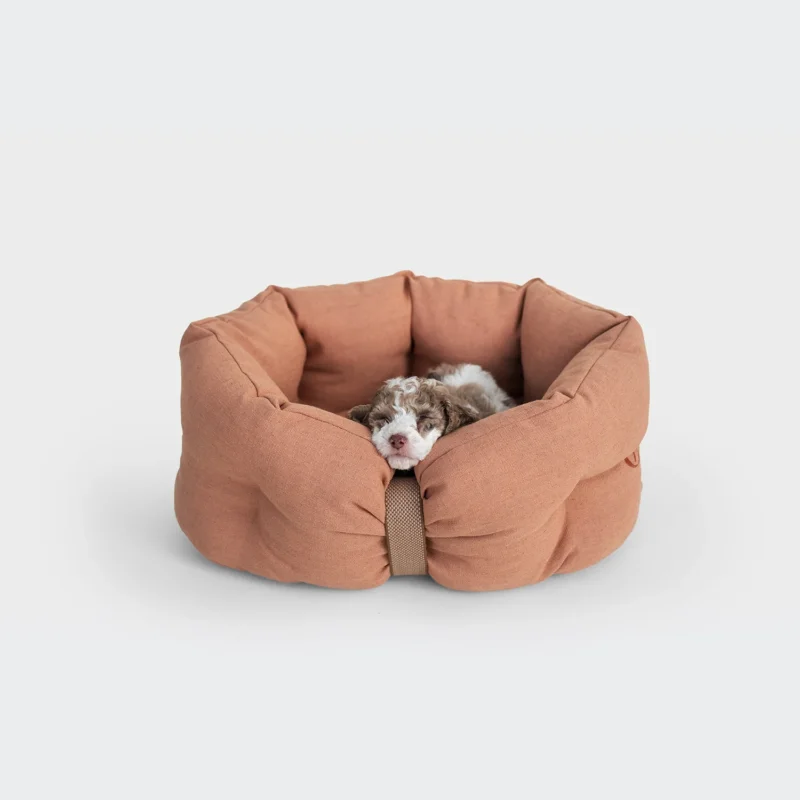 CLOUD7_ Ein kleiner, braun-weißer Hundewelpe mit lockigem Haar ruht mit dem Kopf auf dem Rand eines gemütlichen Hundebett LTTL Snoozy Linen-Mix Dusty Rose vor einem schlichten weißen Hintergrund.