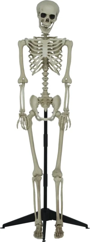 Halloween Skelet Op Standaard 1,55m van Fiestas Guirca koop je bij Partywinkel