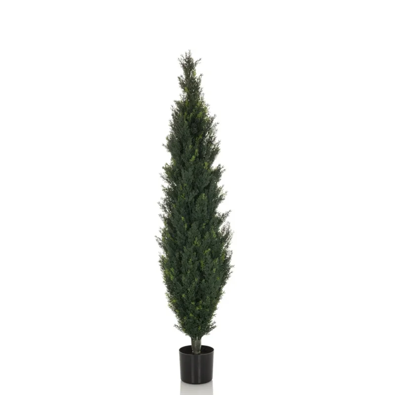 B-Ware Hjh Office Kunstpflanze Kunstbaum Zeder Cedrus 152 Cm Grün Künstlich Kunstblume - 4064323036517