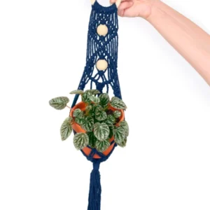 Kit macramé suspension plante bleue avec pot en terre